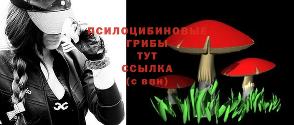 марки nbome Алексеевка