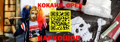 стафф Дубна