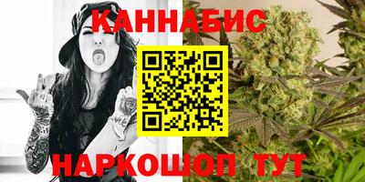 стафф Дубна