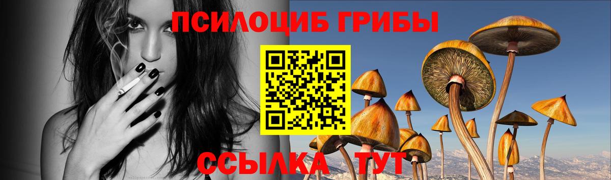 купить наркотик  Псилоцибиновые грибы прущие грибы  Галлюциногенные грибы прущие грибы  Вход с VPN  Симферополь 